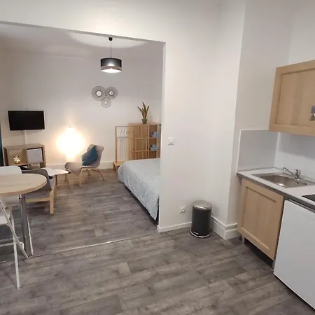 Centre-ville - Gare - Jardin Wilson - Château Bourbon Apartamento *