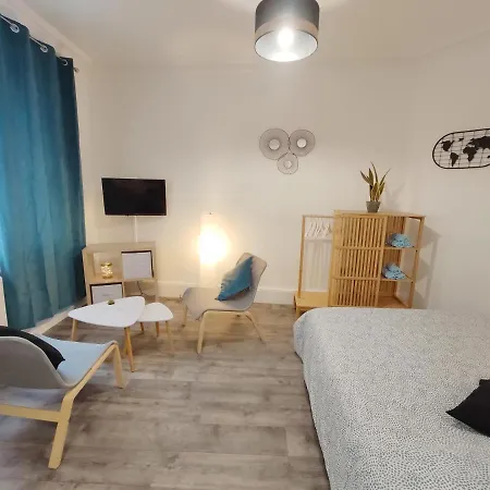 Διαμέρισμα Centre-ville - Gare - Jardin Wilson - Chateau Bourbon *