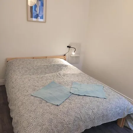 Centre-ville - Gare - Jardin Wilson - Château Bourbon *