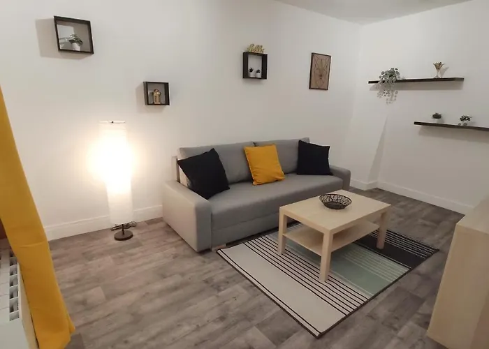 Apartment Centre-ville - Gare - Jardin Wilson - Chateau Bourbon *